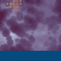 Especialización en Hematología➡️Inicio: OCTUBRE 2025